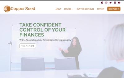 a thumbnail of the copper seed website